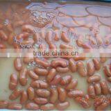 Red Kidney Beans thumbnail-1