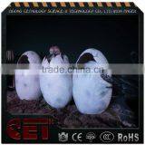 Animatronic Dinosaur Egg Hatching Dinosaur thumbnail-3