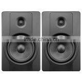 8" Monitor Speaker thumbnail-1