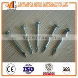 Concrete Nails With Different Sizes for Building Construction thumbnail-4