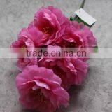 Home Decoration 5 Heads Silk Peony Flowers Wholesale thumbnail-3