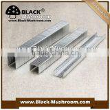 Factory Cheap Staple Pins 80 Series, 71, 14, 90, 92 Series... thumbnail-3