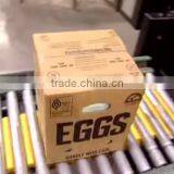FRESH WHITE AND BROWN EGGS FOR SALE thumbnail-4