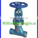 Steel and Cast Iron Bellows Sealed Globe Valve