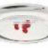 Stainless Steel Tray for Fruits thumbnail-1