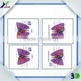 Custom High Quality 3d Embossed Anatomical Chart
