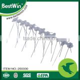 BSTW 3 years quality guarantee most professional plastic bird spike
