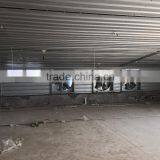 BROILER SHED BUILDING thumbnail-3