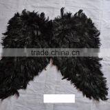 Beautiful Angel Feather Wing