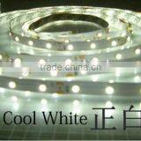 LED Strip 3528 Single Color 12V Led Strips thumbnail-4