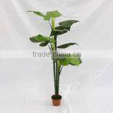 Indoor Fake Decorative Artificial Taro Plant Tree for Sale thumbnail-2