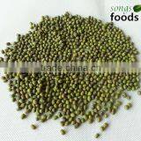 Green Mung Bean With Best Quality thumbnail-1