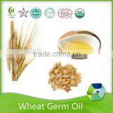 Oem Service Pharmaceutical Grade Antioxidant Wheat Germ Oil Carrier Oil thumbnail-6