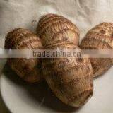 New Arrival China Fresh Taro Low Price PVC Box