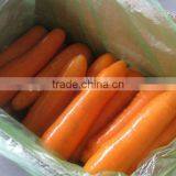 Chinese fresh washing carrot 2L