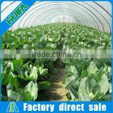 Excellent After-sale Service Tunnel Greenhouse Equipment Tent thumbnail-3