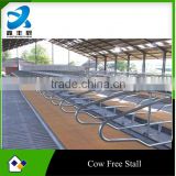tie stalls for dairy cows
