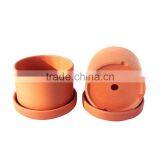 Set of 2 Natural Terra Cotta Round Fat Walled Garden Planters With Individual Trays thumbnail-1