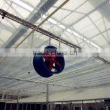 Greenhouse Air Circulating Fan Manufacturer and Supplier thumbnail-5