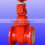 Signal Gate Valve