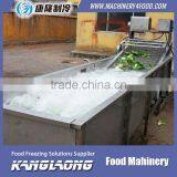 Large Capacity VegetableWashing Machinery With Good Price thumbnail-1