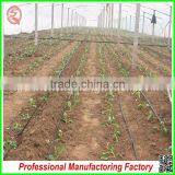 Hard and Durable Steel Profiles Polycarbonate Sheet Greenhouses for Sale thumbnail-6