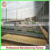 Cheapest Price PC Board Agricultural Greenhouses With Hydroponic System thumbnail-5