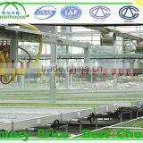 Agricultural Glass Greenhouse for Sale thumbnail-4