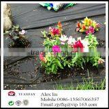 Controls Weeds Non-woven Fabric Made in Zhejiang China thumbnail-4