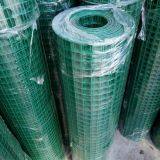 PVC Coated Wire Mesh /Welded Mesh thumbnail-1