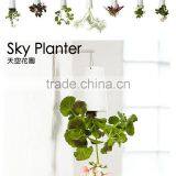 Creative Flower Pot Plastice Sky Planter Mini Sky Garden Hang Suspended Decorative Sky Planter New Design Indoor Sky Planter thumbnail-2