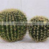 SJ300930 Artificial Mexico Cactus Ball For Garden Decororation thumbnail-3
