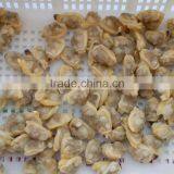 IQF Short Necked Clam Meat Treated thumbnail-1