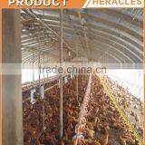 Heracles Suppliers Hot Sale Chicken Poultry Farm Equipment thumbnail-3