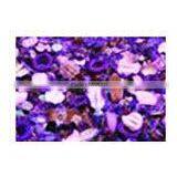 Lilac & Lavender Potpourri Bulk thumbnail-1