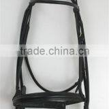 Bridle