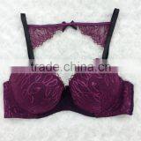 Katrina Kaif Sexi Lace Bra Panty Set Image Shantou China OEM Underwear thumbnail-2