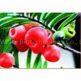 Anti-cancer Docetaxel/ Taxotere 114977-28-5 thumbnail-1