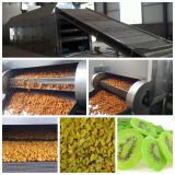 Dried kiwi processing line