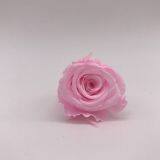 Preserved Real Natural Long Lasting Eternity Roses Head For DIY Forever Flower Box thumbnail-2