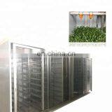 New Arrival Model Hydroponic Seeds Germinate Machine/green Fodder Making Barley Breeding Room/grass Bud Seedling Machine thumbnail-5