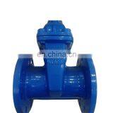 D100 Non Rising Stem Gate Valve Best Price thumbnail-2