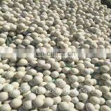 Custom Print Organic Reusable Laundry Wool Felt Dryer Balls 6 Packs thumbnail-6