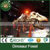 Lisaurus-I Dinosaur Fossil Sale Dinosaur Skull Head Life Size Dinosaur Skeleton Dinosaur Skeleton Puzzles thumbnail-3