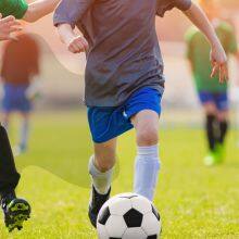 Ningbo Boit Industry & Trade Co., Ltd. company overview - view 1 thumbnail