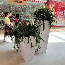 Flowerpot thumbnail-5