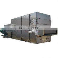 Complete Crispy Coconut Chips Production Line