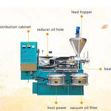 Automatic Small-Size Screw Oil Press Machine Compatible With Peanut, Sesame and Sunflower Seeds thumbnail-5