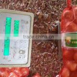 2015 Chinese fresh yellow onion price