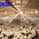 Poultry Equipment Farming Dry Wet Feeder thumbnail-1